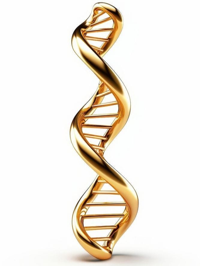 Lipoliză si Contur corporal